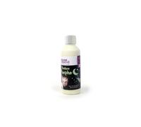Graine créative Peinture phosphorescente 250 ml Multicolore