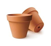 GRAINE CREATIVE Pot de Fleur Diamètre 6 cm