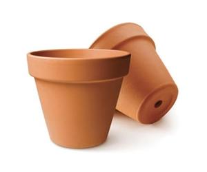GRAINE CREATIVE Pot de Fleur Diamètre 6 cm