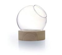 Graine Creative Vase Globe + Socle Bois Ø10 Cm X H11 Cm