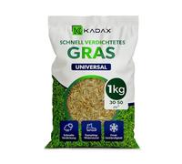 Graine de gazon KADAX, graine de gazon, herbe à croissance rapide, granulés de gazon, graine de gazon à germination rapide, graine de gazon, graine de gazon résistante au gel, pelouse (1 kg)