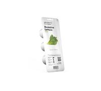 Graîne Laitue Romaine Smart Graden Click&Grow 3 semis