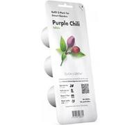 Graîne Piment Violet Smart Garden Click&Grow 3 semis