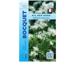 Graine - Semence - Ail des Ours - Allium ursinum