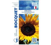 Graine - Semence - Soleil tournesol géant jaune coeur noir