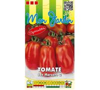 Graine - Semence - Tomate San Marzano 2
