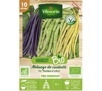 Graine - Vilmorin - Haricot Grimpant en Mélange de Couleurs - 10 m - BIO