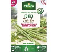 Graine - Vilmorin - Haricot Grimpant Vert Fortex (Obtention I.N.R.A.) - 20 m