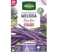 Graine - Vilmorin - Haricot Grimpant Violet Mélissa - 20 m
