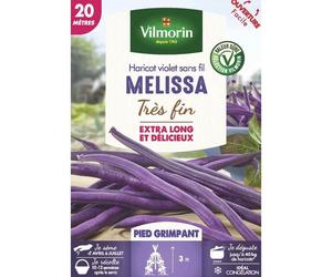 Graine - Vilmorin - Haricot Grimpant Violet Mélissa - 20 m