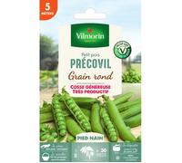 Graine - Vilmorin - Pois Nain à Grain Rond Précovil - 5 m