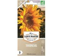 Graines à semer - Tournesol bio Jaune G
