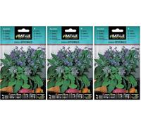 Graines aromatiques de Batlle - Bourrache Officinale (6g) (Lot de 3)