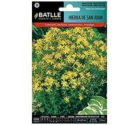 Graines aromatiques de Batlle - Millepertuis Herbe saint-jean (1g)