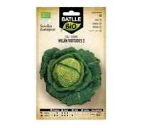 Graines Bio de Batlle - Chou de Milan Virtudes 3 (2g)