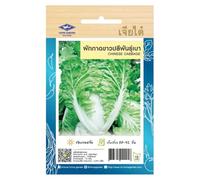Graines Chou Chinois Pe-Tsaï 4250 Graines | Chou Napa Chinese Cabbage | Graines Potager Asiatique Thaïlandais