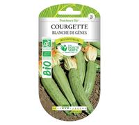 Graines courgette blanche de Gênes BIO Les Doigts Verts