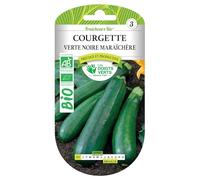 Graines courgette verte noire maraîchère BIO Les Doigts Verts