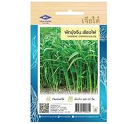 Graines d’Épinard d’Eau - Liseron d’Eau Asiatique - Kangkong - CHINESE CONVOLVULUS - 420 graines - CHIA TAI (Home Garden) - Import Thaïlande