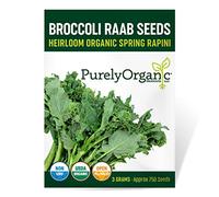 Graines de brocoli et raab biologiques (rapini printanier) - Environ 750 graines - USDA biologique, sans OGM, pollinisation ouverte, héritage, origine américaine