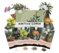 Graines de cactus exotiques à haut taux de germination - Set de graines succulentes pour votre propre cactus à fleurs (set de 4 graines)