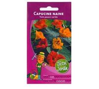 graines de capucine naine tom pouce
