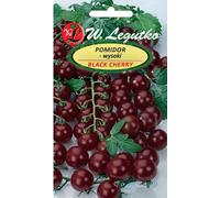 Graines de cerise noire tomate broyée, 0.2g