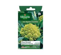 Graines De Chou Brocoli Variété "Romanesco Précoce" Vilmorin Semis De Mars À Juillet