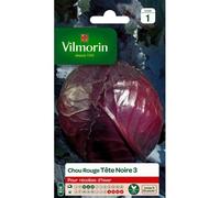 Graines De Chou Rouge Variété "Tête Noire 3" Vilmorin Semis De Mars À Mai