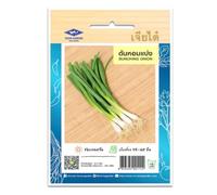 Graines de Ciboule de Chine CHIA TAI - Bunching Onion - Oignon vert, Cébette, Scallion - Environ 185 graines - Importées de Thaïlande