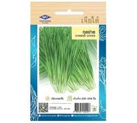 Graines de Ciboulette Chinoise - Ail Chinois - Ciboule de Chine - 250 graines - CHIA TAI (Home Garden) - Import Thaïlande