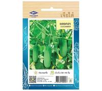 Graines de Concombre Thaïlandais - Petit Concombre Croquant - 55 graines - CHIA TAI (Home Garden) - Import Thaïlande