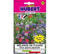 Graines de fleurs pour gazon japonais - Sachet de 12 g - Pour 10 m² - Hauteur 35-50 cm - Floraison mi-juin à octobre