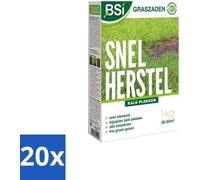 Graines de gazon - Dicht & Sterk Gazon - 1 kg - Emballage en vrac - 20 unités