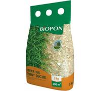 Graines de gazon Gazon résistant à la sécheresse Graines de gazon Graines de gazon 5kg