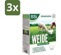 Graines de gazon pour prairie, conditionnement en vrac, 2,5 kg, lot de 3