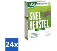 Graines de gazon « Récupération rapide » pour une pelouse dense et résistante, 250 g, 24 sachets
