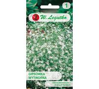 Graines de Gypsophile blanc, 1g