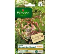 Graines De Laitue Variété "Batavia Blonde À Bord Rouge 5" Vilmorin Semis De Février À Juillet