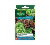 Graines De Laitue Variété "Bowl Verte Et Rouge" Vilmorin Semis Toute L'année