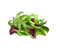 Graines de laitues à couper bio - Mélange de jeunes pousses Primavera pour récoltes multiples, avec roquette, Lollo Rosso, mâche et laitue iceberg, 2 g - Love My Nature