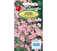 Graines de l'élégante gypsophile rose, 1g