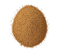 Graines de luzerne alfalfa 2 kg | Semences pour gazon, prairie ou fourrage | Graines sélectionnées pour jardin et terrain