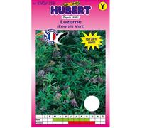 Graines de luzerne - Pour 200 m² - Boîte de 200 g - Semences reproductibles - Non traitées - Plante mellifère
