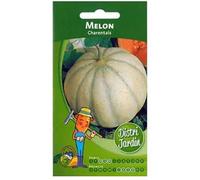 graines de melon cantaloup charantais