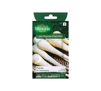 Graines De Panais Variété "Guernesey" Vilmorin Semis De Mars À Juin