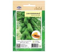 Graines de Papaye Hollandaise Hybride - Salade Thaï Som Tam - Résistante au froid - 15 graines - CHIA TAI (Home Garden) - Import Thaïlande