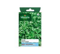 Graines De Persil Variété "Géant D'italie" Vilmorin Semis De Février À Septembre