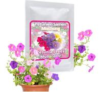 Graines De Pétunia Environ 250 Pièces - Mélange De Pétunias À Fleurs Multiples Pour Le Balcon Et Le Jardin