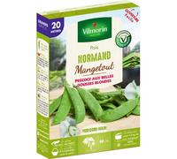 Graines De Pois Variété "Normand" Vilmorin Semis De Février À Avril Et D'octobre À Novembre